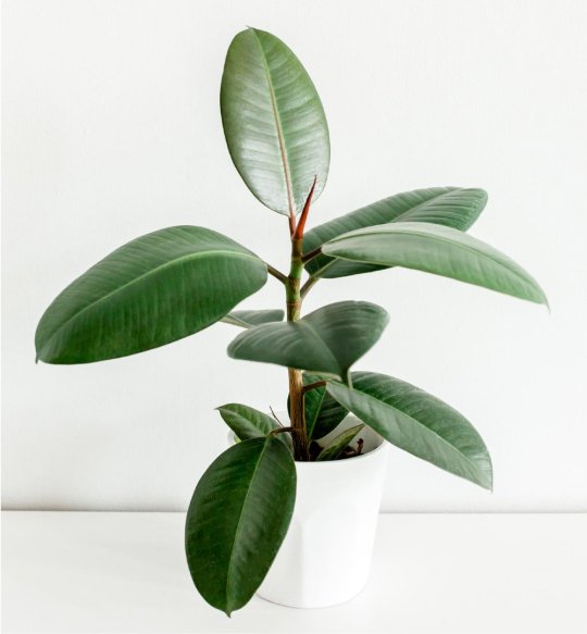 product-02 product 02